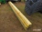 (12) 4X4 TREATED POSTS - 16-FT