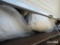(40+) Rolls of R10 Building Insulation and (15+) Packaged of R30 Wall Insul