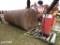1900-gallon Fuel Tank w/ GasBoy Hi Flow Pump: ID 42384