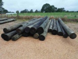 Lot of Wood Power Pole Cutoffs: Various Lengths and Diameters