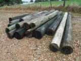 Lot of Wood Power Pole Cutoffs: Various Lengths and Diameters