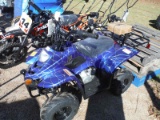 110cc ATV, s/n L9NACFB33N1600987