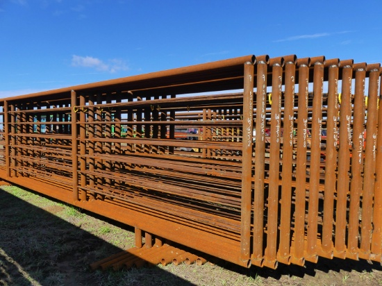 24' Corral Panel: 5'6in. Tall