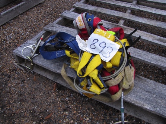 Harness with Lanyards