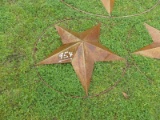 3' Star