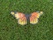 Metal Butterfly