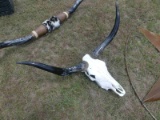 Steel Skull w/ Horns
