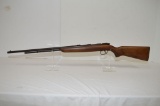 Remington Sports Master Model 512 Bolt Action Pitting