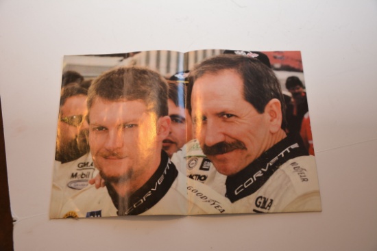 Dale Earnhardt Posters