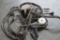 Miller Spoolmatic 30A Air Cooled Spool Gun for Welding