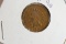 1901 Indian Head .01 Cent