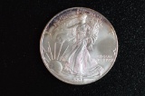 2002 UNC (in Plastic Flip), American Silver Eagle