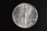 1989 UNC (in Plastic Flip), American Silver Eagle