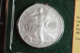 2004 UNC (in Plastic), American Silver Eagle