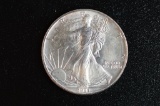 1991 PRF (in Plastic Flip), American Silver Eagle