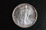 1990 UNC (in Plastic Flip), American Silver Eagle