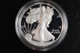 2010-W PRF. (w/Box), American Silver Eagle