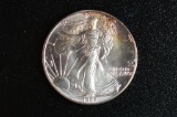 1988 UNC (in Plastic Flip), American Silver Eagle