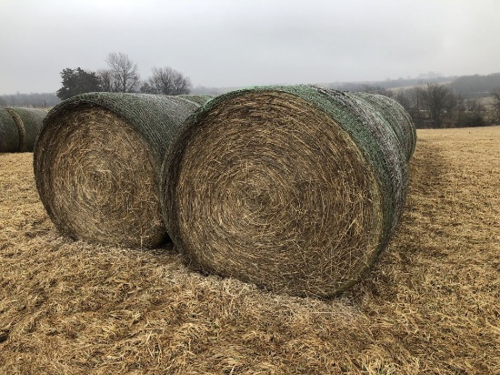 Lot of 10 Big Round Bales of Premium Brome Hay, Net Wrapped - Never Wet