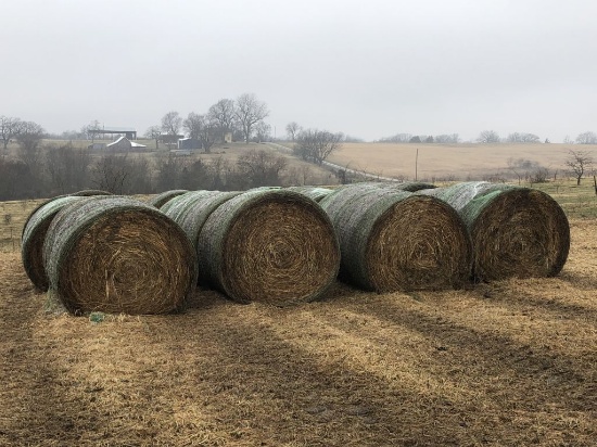 Lot of 20 Big Round Bales of Premium Brome Hay, Net Wrapped - Never Wet