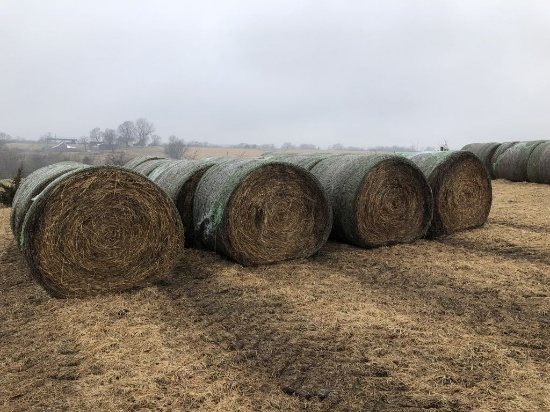 Lot of 20 Big Round Bales of Premium Brome Hay, Net Wrapped - Never Wet