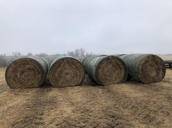 Lot of 20 Big Round Bales of Premium Brome Hay, Net Wrapped - Never Wet