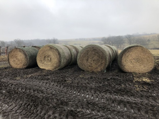 Lot of 40 Big Round Bales of Brome Pasture Mix Hay, Net Wrapped - Never Wet