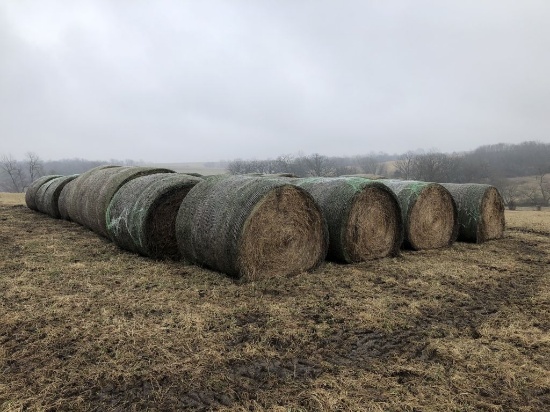 Lot of 40 Big Round Bales of Brome Pasture Mix Hay, Net Wrapped - Never Wet