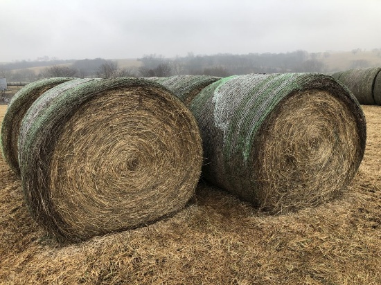 Lot of 10 Big Round Bales of Premium Brome Hay, Net Wrapped - Never Wet