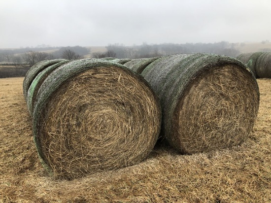 Lot of 10 Big Round Bales of Premium Brome Hay, Net Wrapped - Never Wet