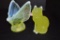 Opalescent Vaseline Fenton Butterfly and Cat