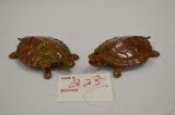 Pair of Anatomically Male and Female Turtles, 1971, 3 1/2 in.