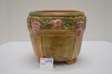 Unmarked Fruit w/ Pannels 8x9 Plant Pot