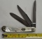 1998 Bulldog Brand, Hammer Forged, Solingen Germany, Triple Blade - 1 Etche