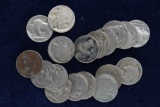19 - 1920's Buffalo Nickels