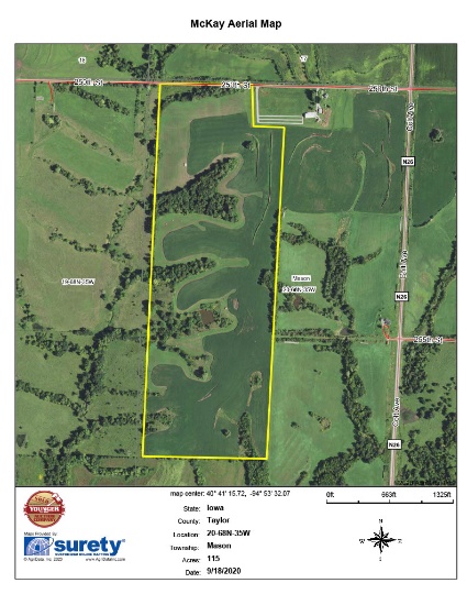 116 Acres +/- Taylor Co. Iowa Farmland