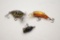 Lot Of Hula Mini Popper Lure Black, Shallow Floater Crawdad Lure, Fred Boga