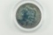1889 Rainbow / Toned Morgan Silver Dollar