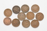 Group of 11 1900's Indian Head Pennies 1900 - 1909