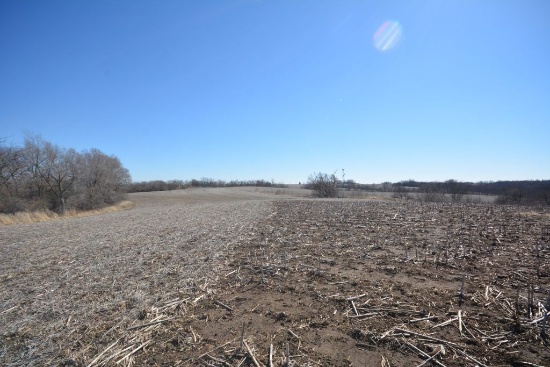 TRACT 2 - 146.2 ACRES +/-