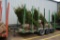 15'x6' Triple Axle Tree Trailer w/ Removable Stays, no fenders, Walker Buil