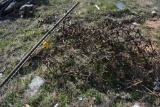 Drag Harrow 8’ wide?