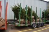 15'x6' Triple Axle Tree Trailer w/ Removable Stays, no fenders, Walker Buil