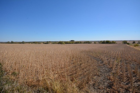 TRACT 4 - 78 Acres m/l Located from Tract 3 East 1/2 mile to gravel Foxtail Rd., then North 1-1/2 mi