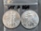 Two 1999 American Silver Eagles - Uncirculated