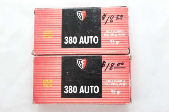 Fiocchi .380 Auto 95 Gr. FMJ; 2 Boxes, 50 Rds./Box