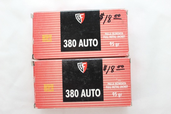 Fiocchi .380 Auto 95 Gr. FMJ; 2 Boxes, 50 Rds./Box
