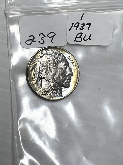 1937 buffalo Nickel - BU
