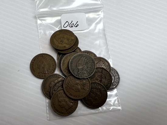 16 1900's Indian Head Cents - Average Circulated