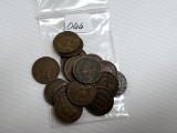 16 1900's Indian Head Cents - Average Circulated